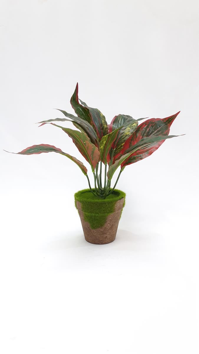 PLANTA CON MACETA 30CM